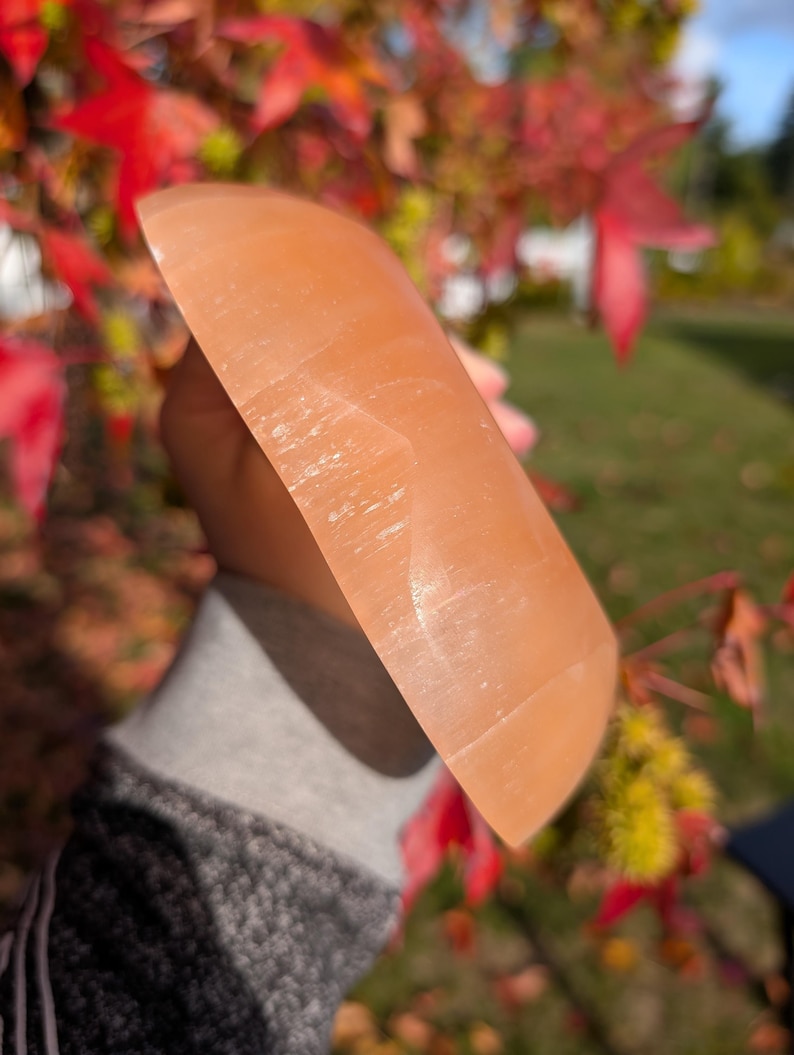 May include: A peach-colored, curved crystal, possibly selenite, is held in front of a blurred background of red and green foliage. The crystal has a smooth, polished surface and a semi-transparent appearance. The shape is a rounded rectangle.