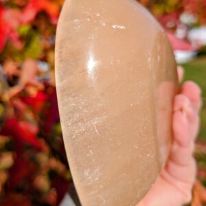 May include: A smooth, peach-colored stone with a rounded shape. The polished surface reflects light, highlighting subtle variations in color and texture. The stone is held in a hand, with a blurred background of fall foliage.