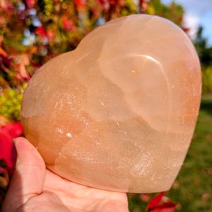 May include: A peach-colored heart-shaped stone, held in a hand. The stone has a smooth, polished surface with subtle variations in color. The background features colorful autumn foliage.