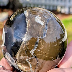 May include: A polished sphere of petrified wood, showcasing a blend of brown, black, and cream tones. The surface is smooth and reflective, with intricate patterns and veining. The sphere is held in a hand, with a blurred background of greenery.