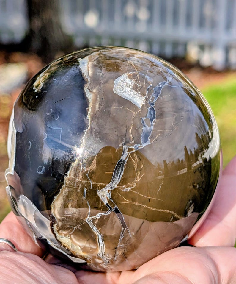 May include: A polished sphere of petrified wood, showcasing a blend of brown, black, and cream tones. The surface is smooth and reflective, with intricate patterns and veining. The sphere is held in a hand, with a blurred background of greenery.