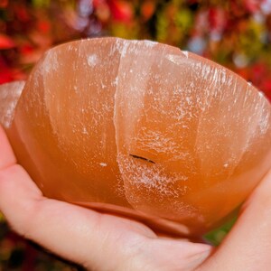 May include: A hand holds a carved, orange-colored bowl. The bowl has a rough, textured surface and a rounded shape. The background is blurred, with hints of red and green foliage.