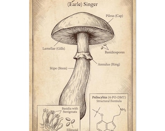 Magic Mushroom Scientific Poster - Vintage Psilocybin Mushroom Illustration, Psilocybe Cubensis Wall Art