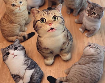 Customized Ugly Pillows, Ugly Pillows, Custom Gifts, Funny Gifts, Gifts for Friends, Birthday Gift, Christmas Gift, Custom Realistic Pillows