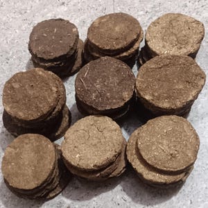 Cow Dung Patties - Etsy