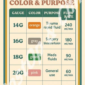 IV Start Cheat Sheet Bundle for Nurses: Vein Selection Guide (printable ...