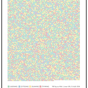 Peut inclure: Un diagramme scientifique représentant la séquence complète du génome du Virus de l'Immunodéficience Humaine 1 (VIH-1). L'image est composée d'une grille de carrés colorés représentant le code génétique, avec des étiquettes pour Adénine, Cytosine, Guanine et Thymine.