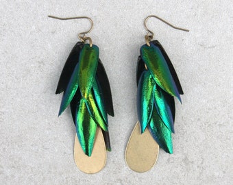 Colorful emerald green beetle wing earrings for women, nature themed elytra earrings with hypoallergenic hooks available.