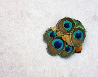 Peacock hair clip with Reeves pheasant feathers, scarf clip, peacock feather barrette, style four