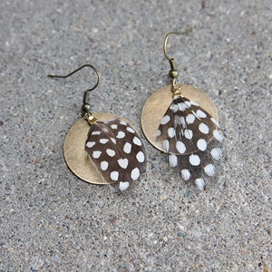 Guinea feather earrings with a brass accent, for when you want feather earrings but also polka dot earrings image 1