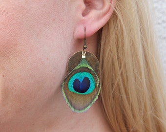 Peacock feather earrings with brass coin accent, everyday earrings for an animal lover