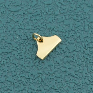 Könnte beinhalten: Ein kleiner, goldfarbener Metallanhänger in Trapezform mit einer glatten, reflektierenden Oberfläche. Der Anhänger verfügt über einen einzelnen, runden Biegering an der oberen Mitte, der für die einfache Befestigung an Ketten gedacht ist.