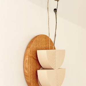 May include: A modern wall-mounted sculpture featuring a light wood oval base with two stacked, cream-colored, semi-circular bowls. Dried seed pods extend upwards from the bowls, creating a minimalist, natural aesthetic.