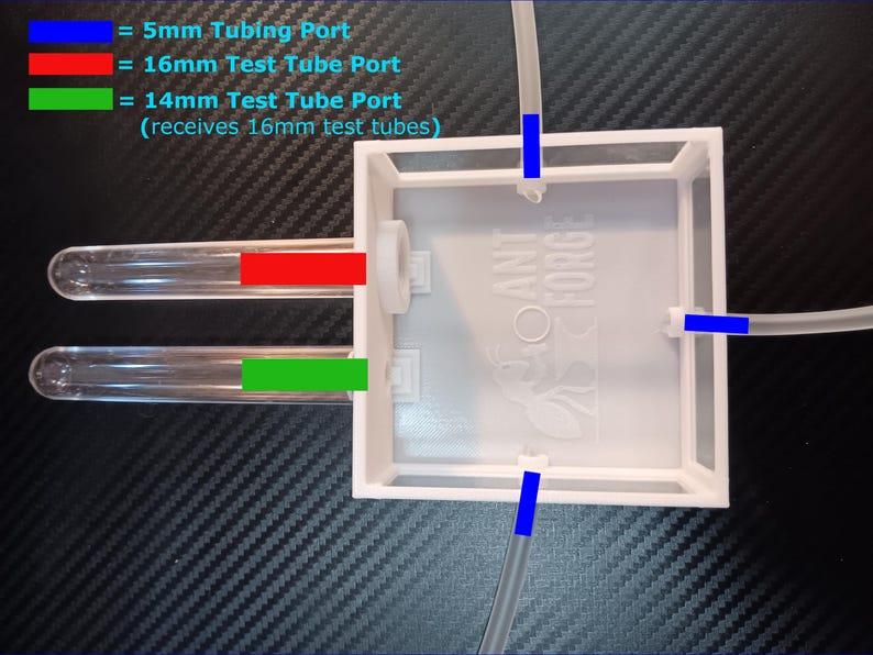 Ant Farm Starter Kit Outworld and Test Tubes for Small and Medium Sized Ants image 2