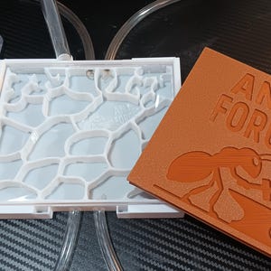 May include: A white and clear ant farm with a honeycomb design, and a separate orange cover with the words "ANT FORGE" and an ant graphic. Clear tubing and a pipette are also visible.