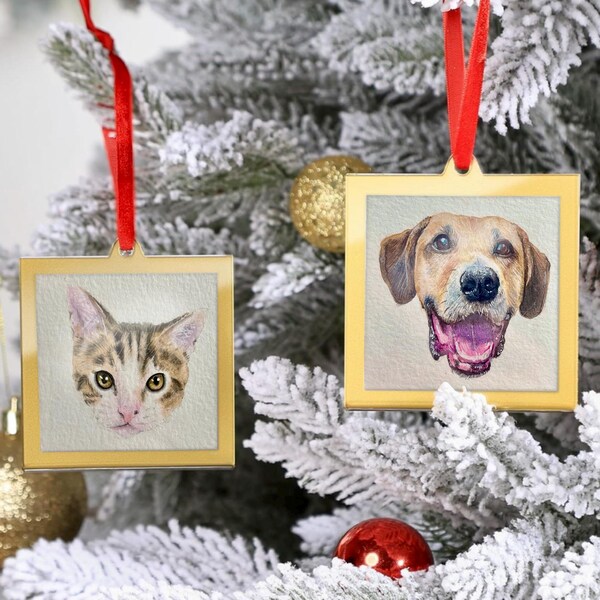 Custom Hand Painted Pet Ornaments