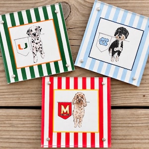 Custom Hand Painted Collegiate Pet Portrait | 4x4 Acylic Frame