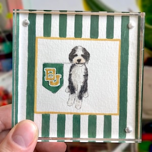 Peut inclure: Sous-verre carr&eacute; en acrylique avec une illustration &agrave; l'aquarelle d'un chien noir et blanc tenant un drapeau vert avec un embl&egrave;me dor&eacute;. Le dessous de verre a une bordure &agrave; rayures vertes et blanches.