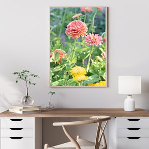 Zinnias Photographic Print, Floral Wall Art, Garden Photography, Garden Wall Art, Living Room Wall Art, Botanicals, Wall Decor