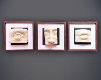 Unique Needle Felted Sculptural Face Studies - Set of Framed Artworks