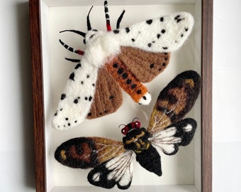 Needle Felted Luna and Zephyr Moth and Cicada Art