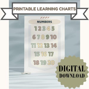 Preschool Number Chart 1-20: Educational Counting Poster (PDF & JPEG Download)