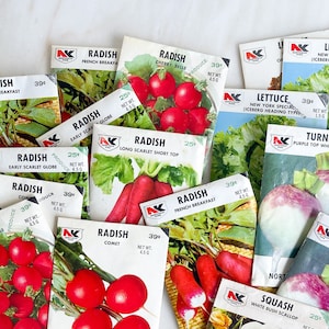Pacchetti di semi di ortaggi Semi di fiori Northrop King antichi vintage Esposizione primaverile Semi di fiori vintage Esposizione da banco per invasatura con grafica colorata