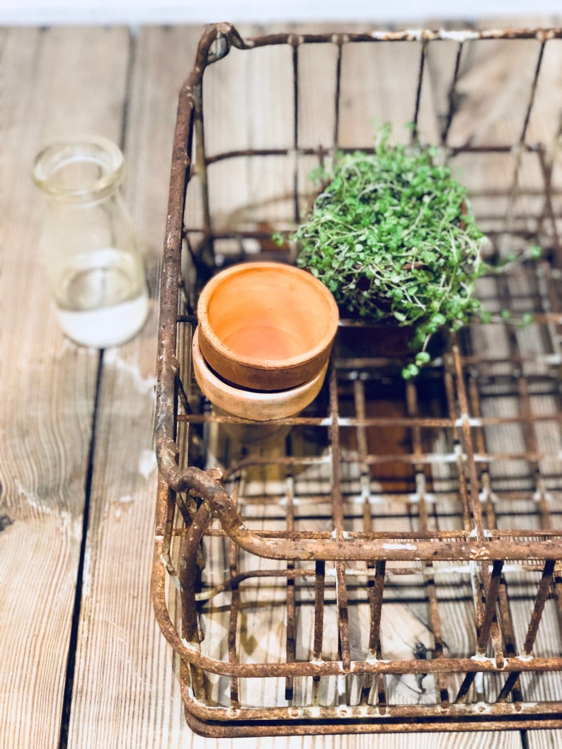 antique wire cream crate industrial gardening potting etsy