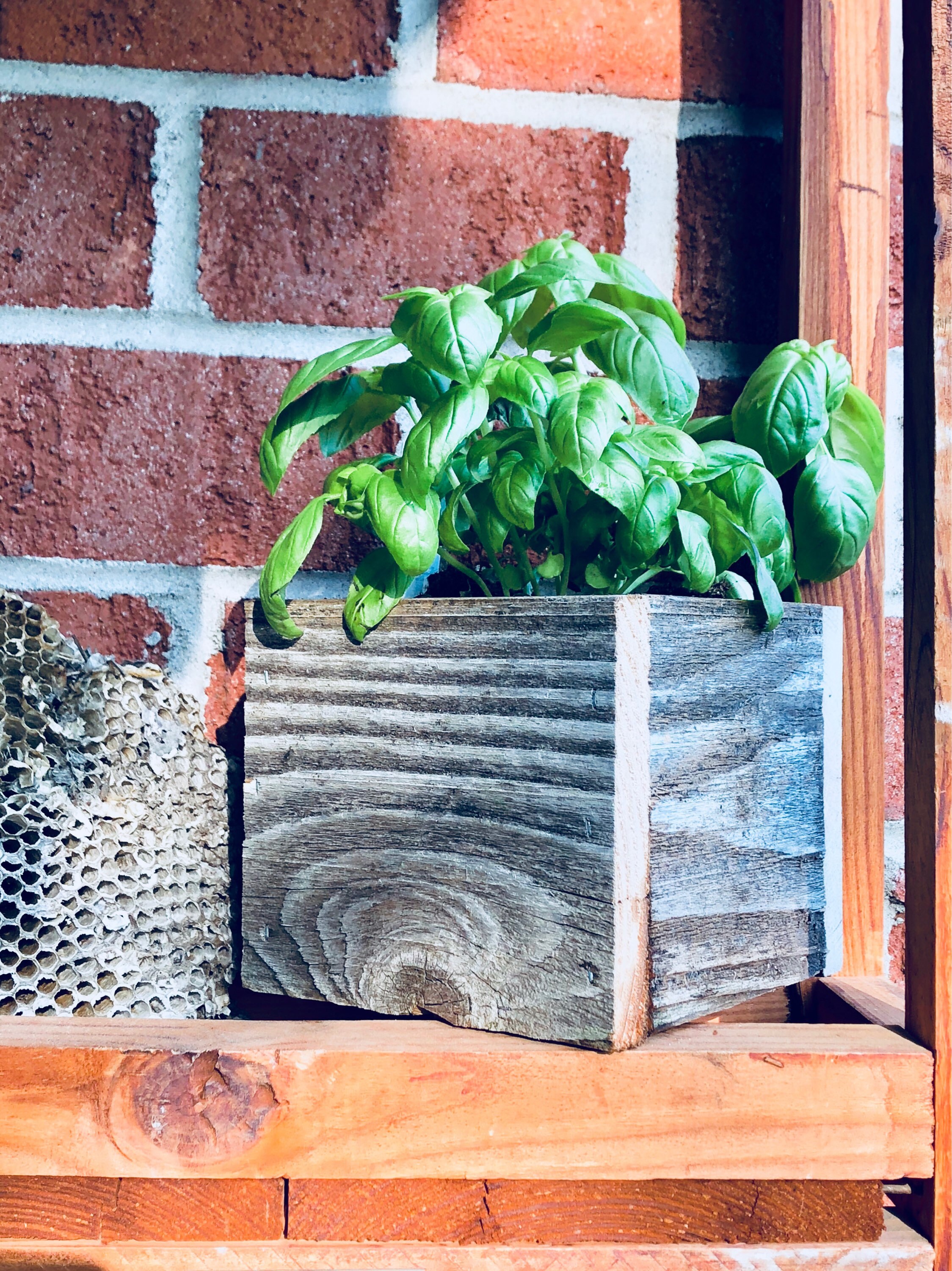 Herb Garden Boxes Rustic Planter Boxes Reclaimes Wood | Etsy