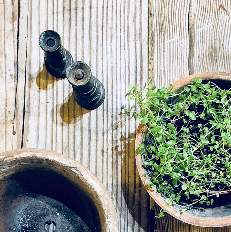 Spring Decor Spring Display Antique Hose Nozzle Metal Nozzle Gardening Vintage Spring Garden Hose Nozzle
