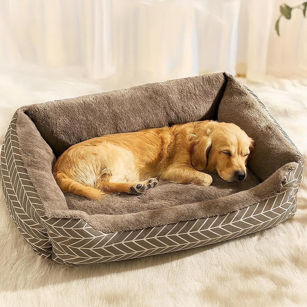 Dog Sofa New Zealand