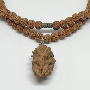 Jenitri Rudraksha Necklace - 2 Mukhi Pendant