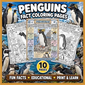 Può includere: Un set di 10 pagine da colorare stampabili con fatti sui pinguini, testi educativi e illustrazioni di varie specie, inclusa una scheda centrale sul pinguino saltarocce con fatti numerati, su uno sfondo raffigurante dei pinguini.