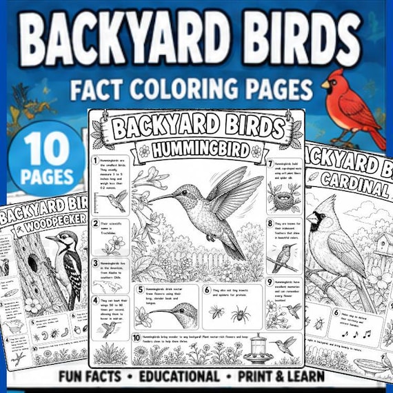 Backyard Bird Fact Coloring Pages | Bird Learning Printable | Homeschool Nature Study Worksheets | Educational PDF