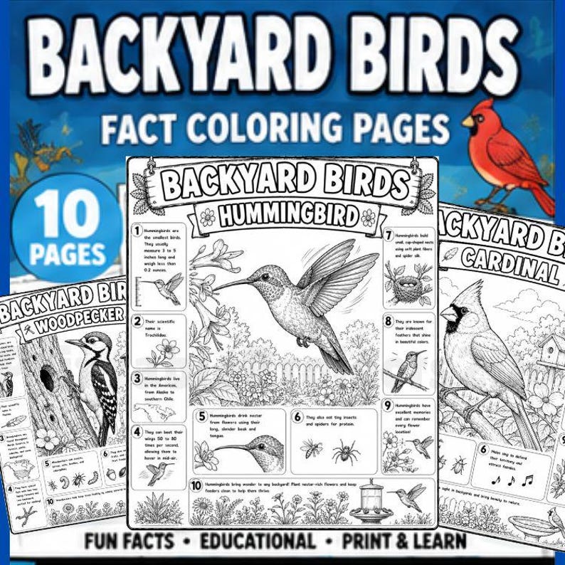 A blue educational coloring book titled "Backyard Birds" with "Fact Coloring Pages" and "10 Pages" in white text. The book features illustrations of a hummingbird, woodpecker, and cardinal, with facts and coloring areas. The bottom of the book reads "Fun Facts • Educational • Print & Learn."