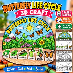 Pode incluir: Um projeto de artesanato 3D sobre o ciclo de vida da borboleta, apresentando uma cena de jardim colorida com sol, flores e borboletas. A exibição inclui seis estágios rotulados: ovos, eclosão, lagarta, crisálida, borboleta emergente e borboleta adulta.