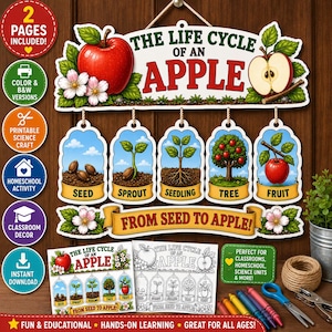 May include: A decorative educational sign titled The Life Cycle of an Apple, featuring illustrations of a seed, sprout, seedling, tree, and fruit. Below, a banner reads From Seed to Apple, accompanied by two printable activity pages.