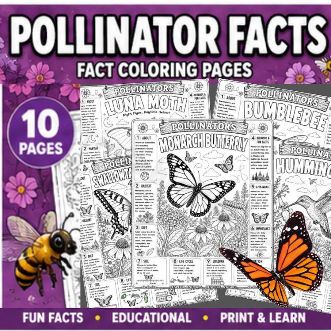 Pollinator Facts Coloring Pages | Bee and Butterfly Coloring Sheets ...