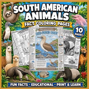 May include: A collection of South American Animals fact colouring pages featuring illustrations of a sloth, pink dolphin, blue-footed booby, llama, alpaca, anteater, piranha, tapir, and maned wolf. The cover text reads South American Animals.