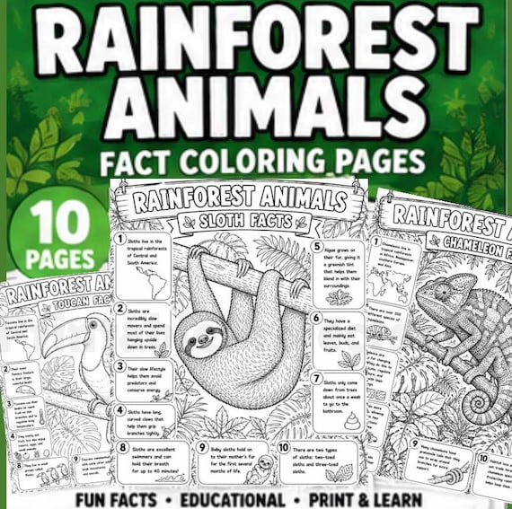 Rainforest Animals Fact Coloring Pages | Jungle Animal Printable | Science Activity Worksheets | Homeschool Educational PDF