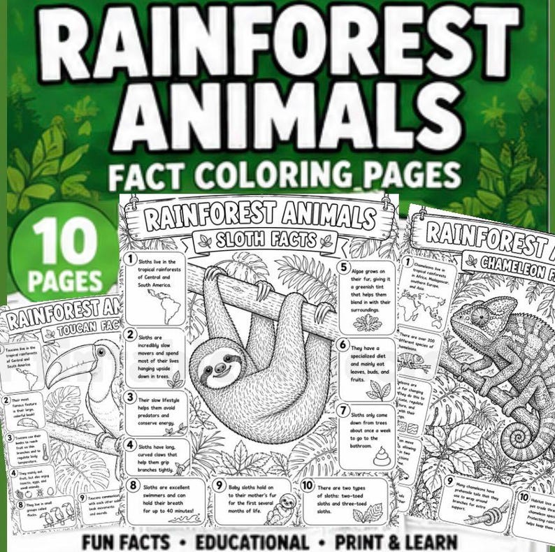 coloring book titled "Rainforest Animals" with the text "Fact Coloring Pages." The cover features a toucan, sloth, and chameleon. The book includes 10 pages of fun facts and educational content about rainforest animals.