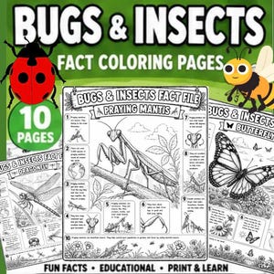 Bug & Insect Fact Coloring Pages | Insect Learning Printable | Homeschool Science Worksheets | Educational Animal Activity PDF