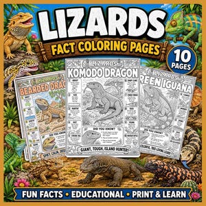 May include: A digital colouring book set titled Lizards Fact Colouring Pages featuring 10 pages. The cover displays various lizard species including a bearded dragon, chameleon, and Komodo dragon, with educational text and black and white illustrations.