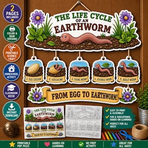 May include: A hanging educational display titled The Life Cycle of an Earthworm, featuring five illustrated stages from egg cocoon to adult worm. The set includes a main sign, a banner reading From Egg to Earthworm, and two printable pages.