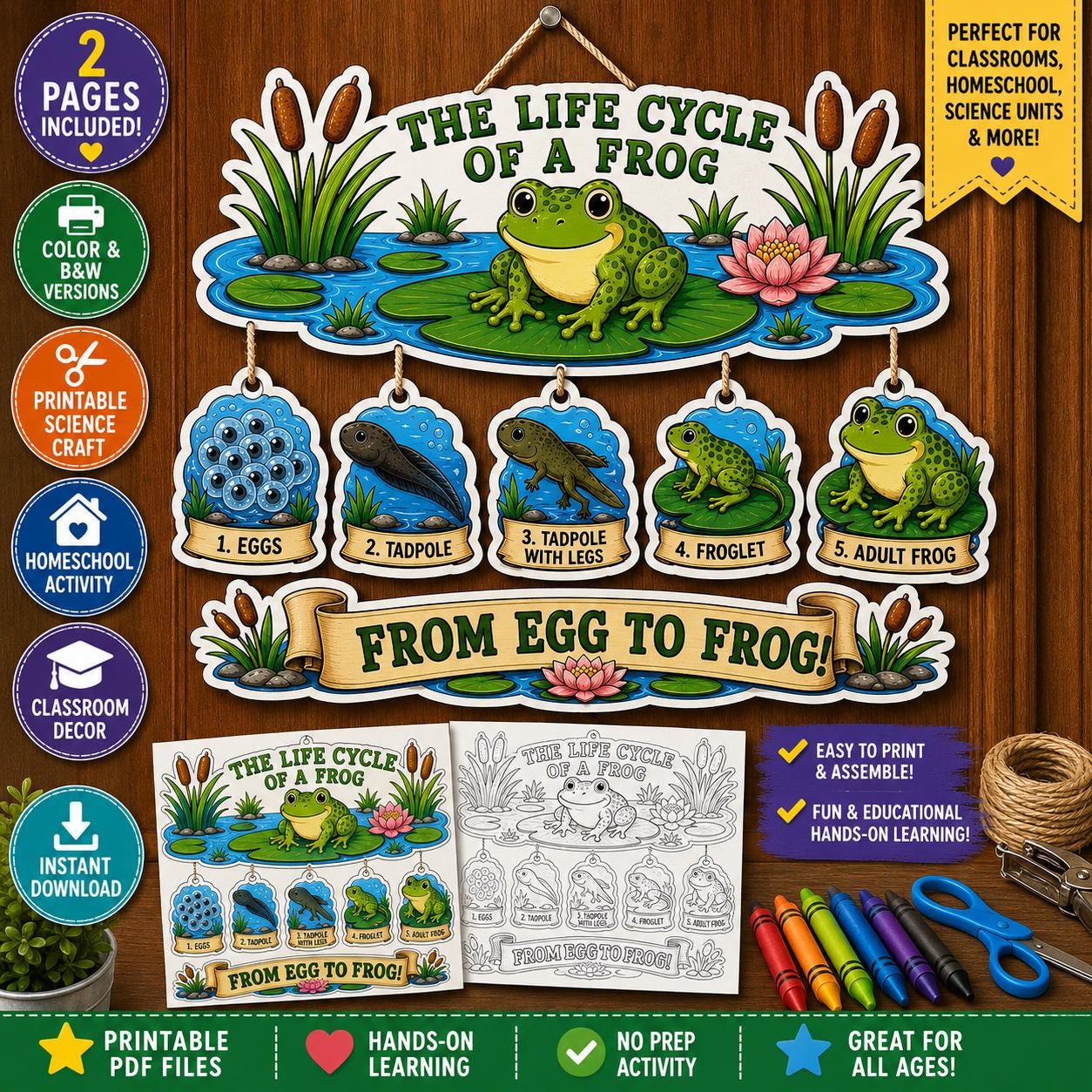 Frog Life Cycle Mobile Craft Printable Amphibian Science Activity…