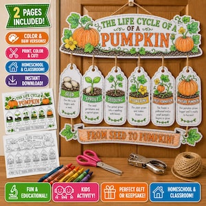 Könnte beinhalten: Ein druckbares pädagogisches Bastelset mit dem Titel The Life Cycle of a Pumpkin, bestehend aus einer großen Überschrift, sechs hängenden Schildern, die das Wachstum von der Saat bis zum Kürbis zeigen, sowie einem Banner. Farb- und Schwarz-Weiß-Versionen.