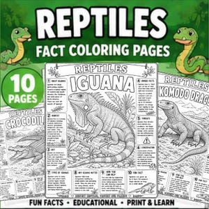 Reptile Fact Coloring Pages | Snake Turtle Lizard Learning Printable | Homeschool Science Worksheets | Educational PDF