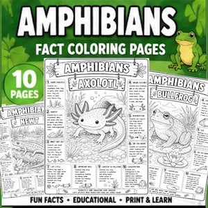 Op de afbeelding: Een set van tien zwart-wit educatieve kleurplaten over amfibieën. Elke pagina bevat een gedetailleerde lijntekening van een dier zoals een axolotl, brulkikker of watersalamander, vergezeld van genummerde secties met feiten en informatie.