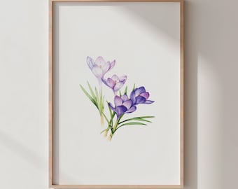 Akwarela z fioletowym krokusem | Botaniczna sztuka ścienna (do pobrania cyfrowego)