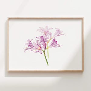 Surprise Lily Watercolor Print: Minimalist Floral Wall Art (Digital Download)